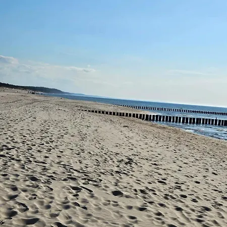 Piaskowy Bursztynek A5 *