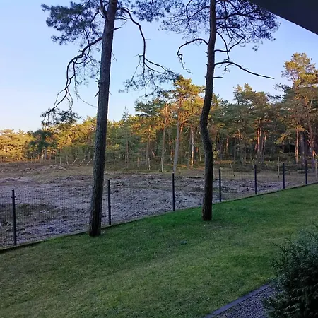 Piaskowy Bursztynek A5 Rowy (Pomerania)