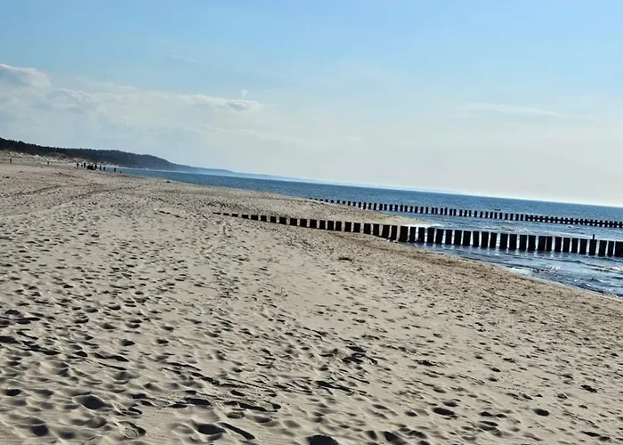 Piaskowy Bursztynek A5 *