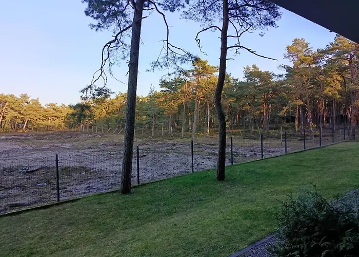 Piaskowy Bursztynek A5 Rowy (Pomerania)